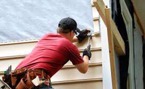 Historical Building Siding Restoration in Davis Junction, IL